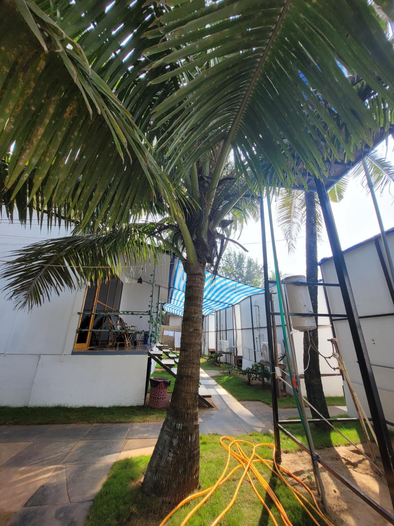 אגונדה Kashinath Beach Huts מראה חיצוני תמונה